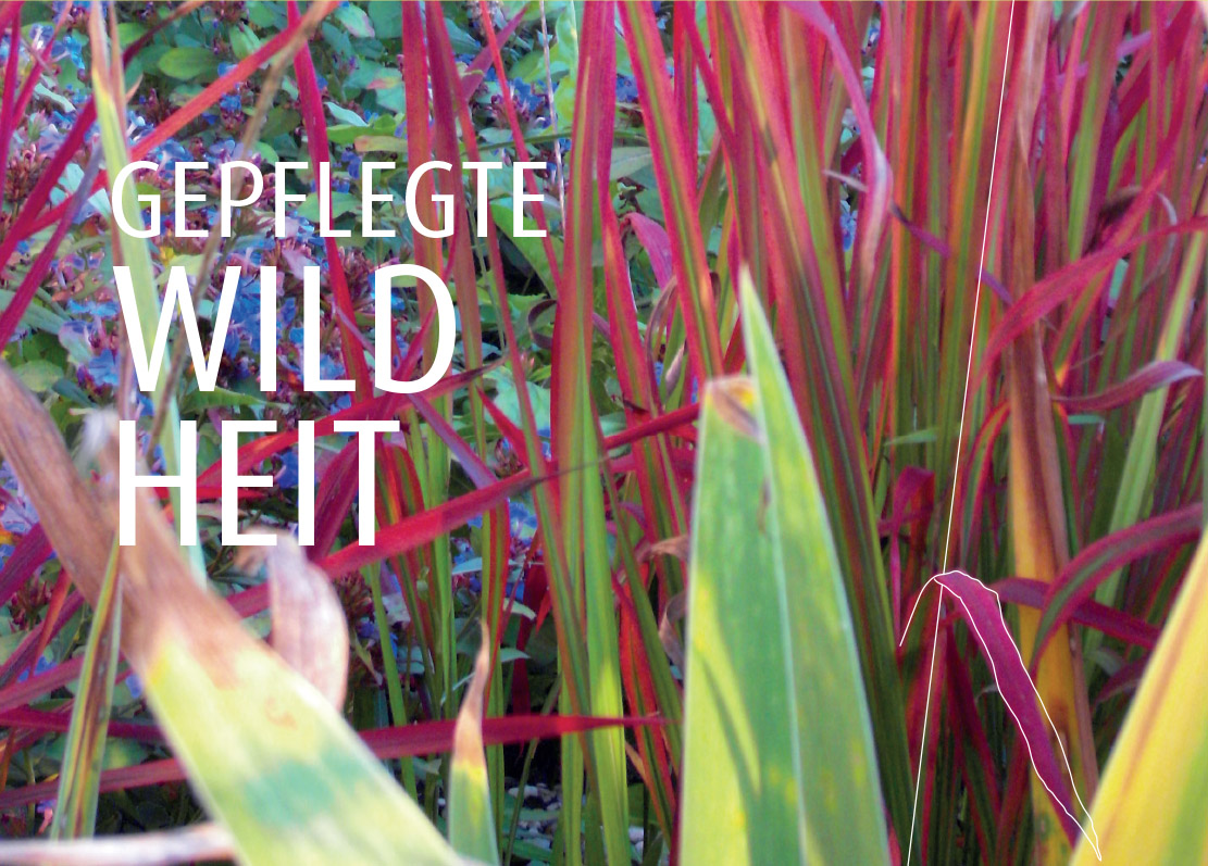 Betina Wojtalla - Gepfleggte Wildheit