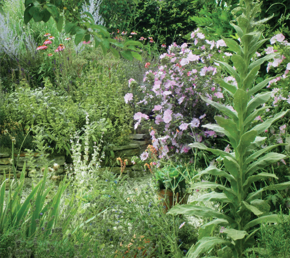 Betina Wojtalla - Robuste Leichtigkeit - Garten Pruttingg